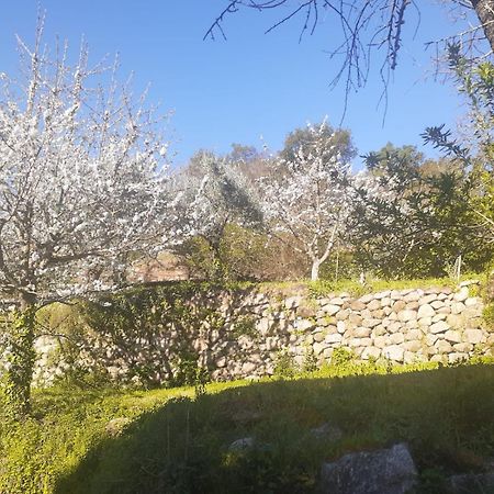 Quinta Dos Carvalhos The Wine House Farm In Center Of Lamego - Capital Of The Douro Villa Exterior photo